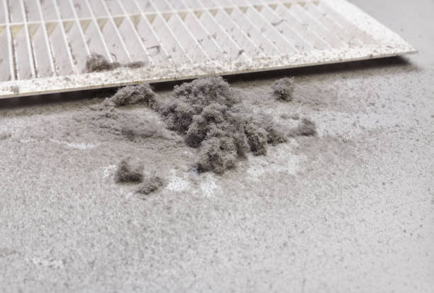 Best Affordable Air Duct Cleaning  in Carrizo Hill, TX