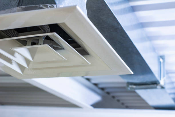 Best Affordable Air Duct Cleaning  in Carrizo Hill, TX