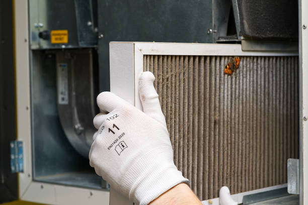  Carrizo Hill, TX Airduct Cleaning Pros