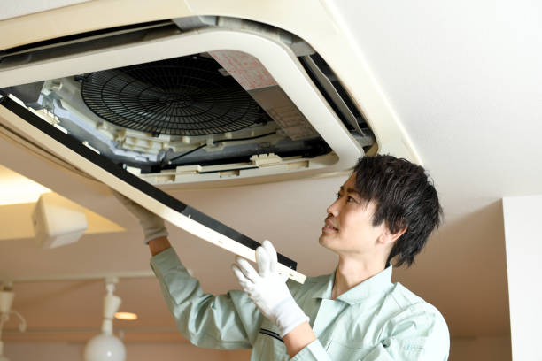 Best Affordable HVAC Duct Cleaning  in Carrizo Hill, TX