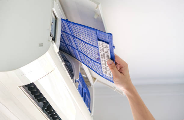 Best Air Duct Cleaning Near Me  in Carrizo Hill, TX