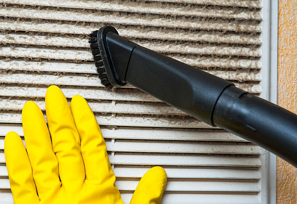 Best Air Duct Cleaning Near Me  in Carrizo Hill, TX