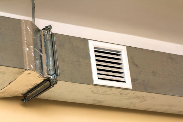 Best Local Air Duct Cleaning Services  in Carrizo Hill, TX